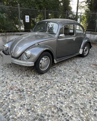 Volkswagen maggiolino vetro piatto 1200