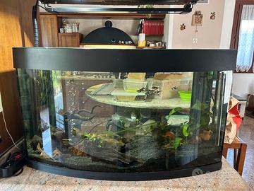 JUWEL vision 180 L.Filtri interni est riscaldatori