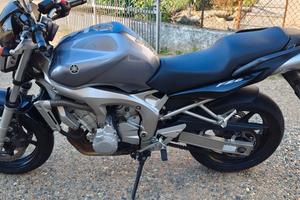 Yamaha fz6 anno 2005