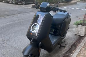 Niu appena comprato