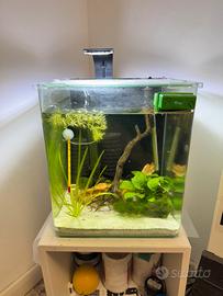 Acquario completo d30 lt