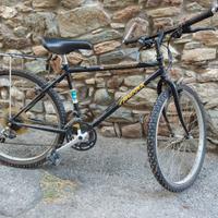 bicicletta mountain bike Specialized vecchia