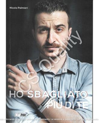 Ho sbagliato più di te E rifarei tutto - Palmieri