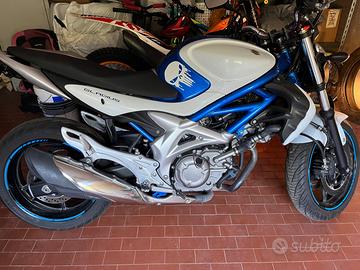 Suzuki gladius