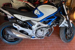 Suzuki gladius