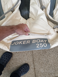 Gommone smontabile joker profi 2,5