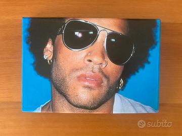 Quadro di Lenny Kravitz