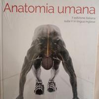 Anatomia umana
