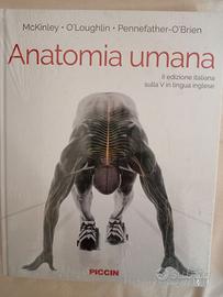 Anatomia umana