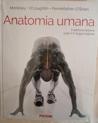 Anatomia umana