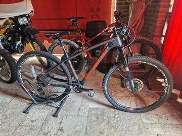 bottecchia in carbonio