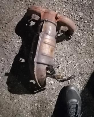 collettori fiat seicento con 200 celle 