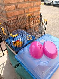 Gabbietta per criceto + accessori