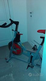 Bici spinning SCHWINN