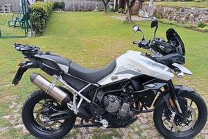 tiger 900 GT Pro