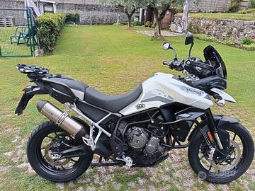 tiger 900 GT Pro