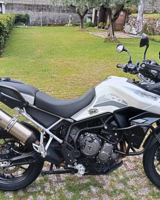 tiger 900 GT Pro