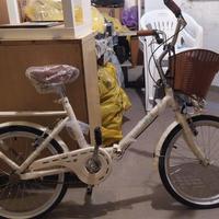Bicicletta pieghevole