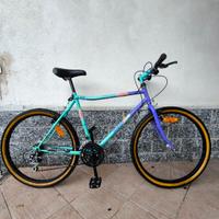 Mtb vintage Sarp Tennessee 21 speed