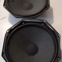 Woofer Passivi Philips coppia 20cm