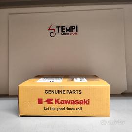 Kit coperchio strumenti originale Kawasaki Z650 (d
