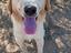 Immagine 1