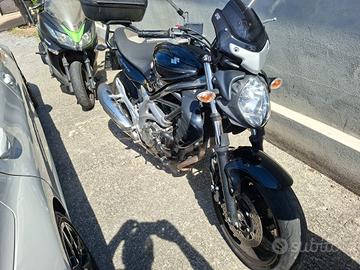 Moto Suzuki gladius 650