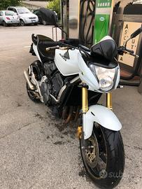 Hornet 600