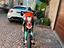 Immagine 4