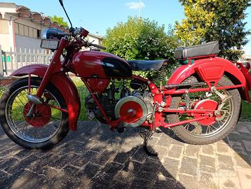 Moto Guzzi FALCONE 500