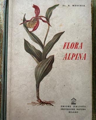 Meschia Flora Alpina