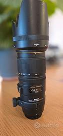 Sigma 70-200 2.8