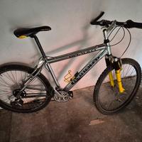 bici mountain biella 