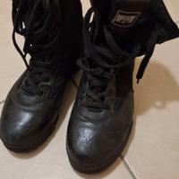 anfibi magnum n 43 zona Sabaudia