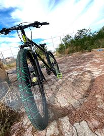 BICI OLMO 2025