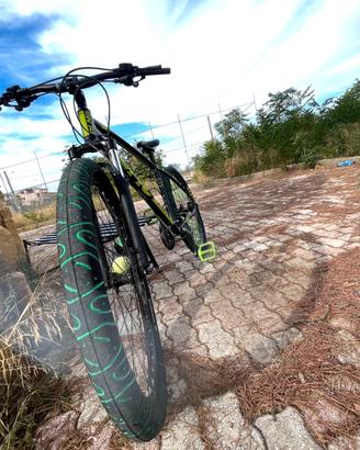 BICI OLMO 2025
