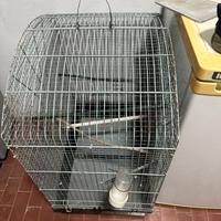 Gabbia usata