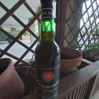 Vino da collezione cannonau di sardegna