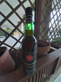 Vino da collezione cannonau di sardegna