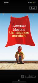 Un ragazzo normale