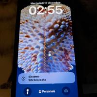 phone 12 mini nuovo