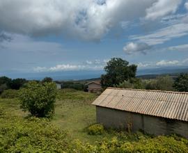 Lotto terreno capanno