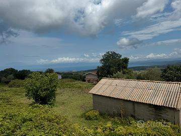 Lotto terreno capanno