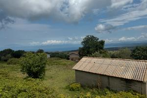 Lotto terreno capanno