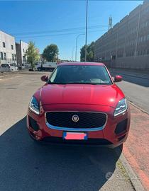 Jaguar e pace