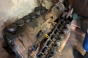 motore Patrol gr y60