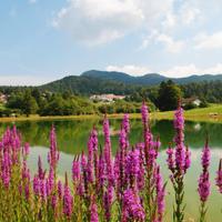 Casa Vacanze Trentino Alpe Cimbra