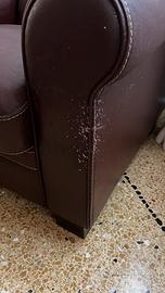 Due poltrone pelle marrone cuoio