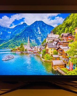 Monitor gaming msi