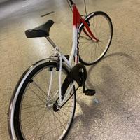 bicicletta adulto